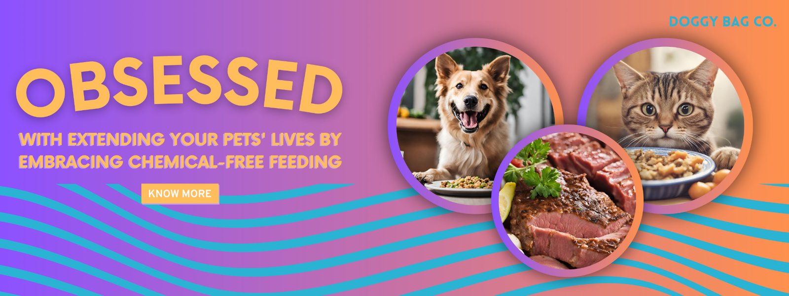 DBC Website Banners_Desktop_1920x720 px (1920 x 720 px) - 1