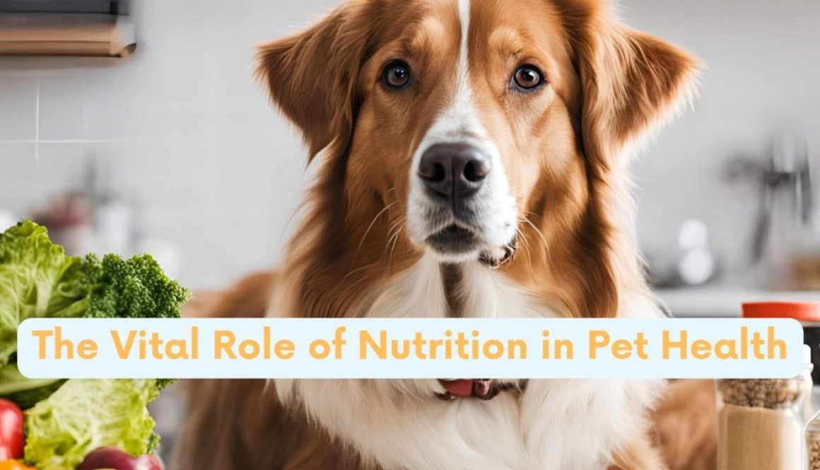 The Vital Role of Nutrition in Pet Health