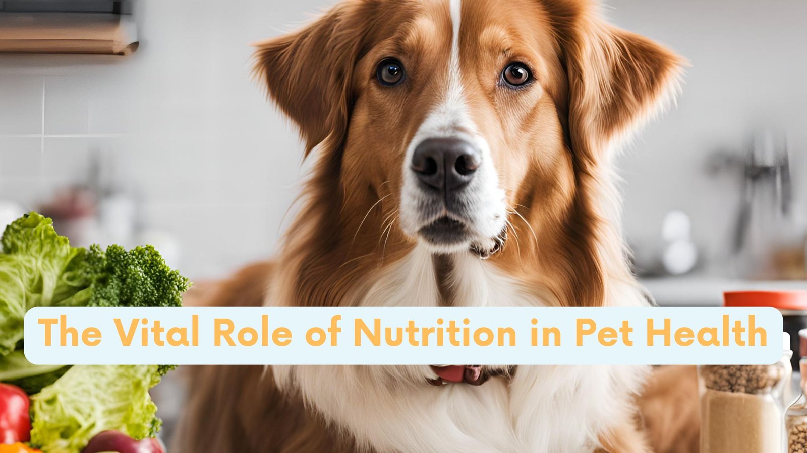 The Vital Role of Nutrition in Pet Health