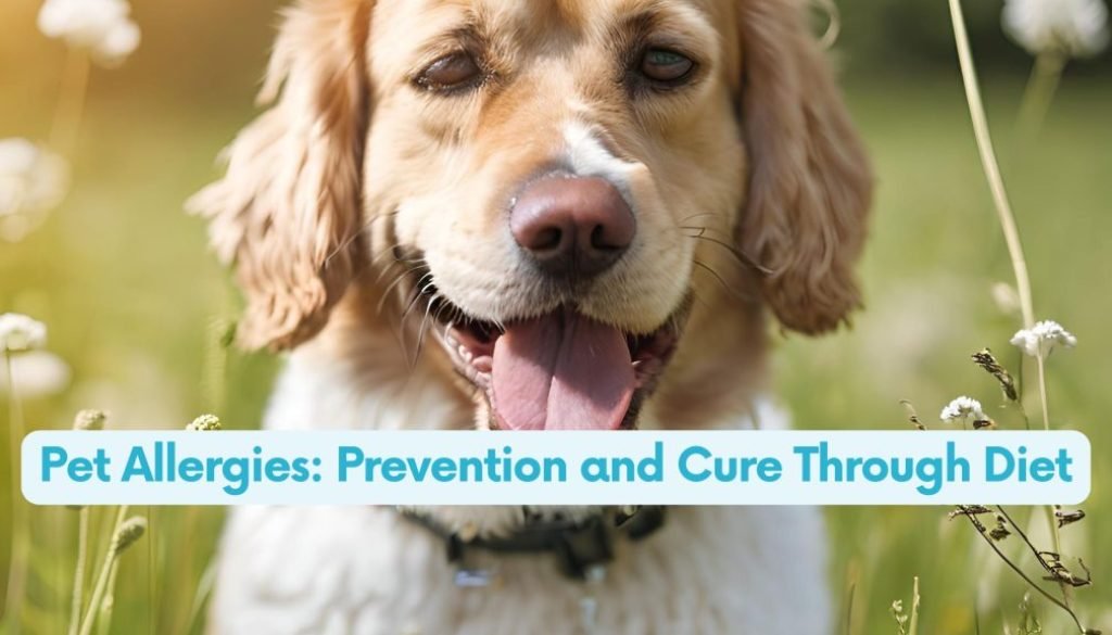 Pet Allergies: Prevention and Cure Through Diet