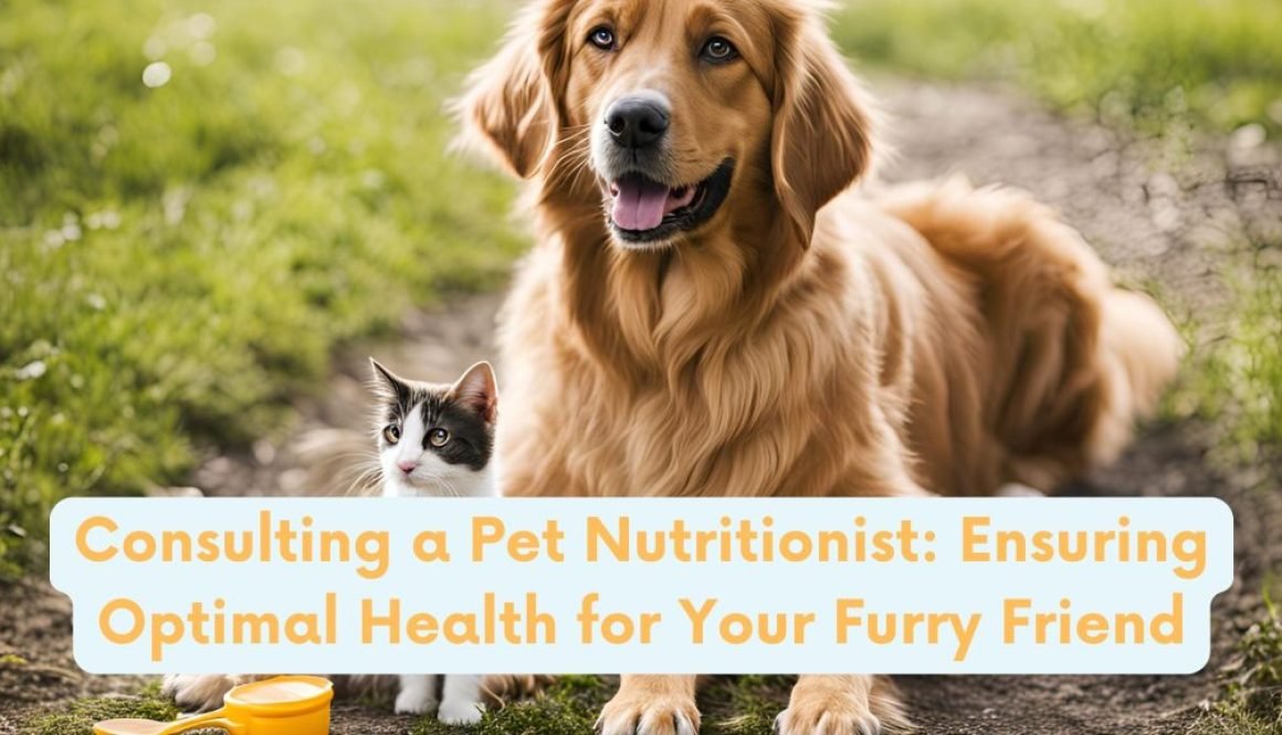 DBC Blog Banners (1)