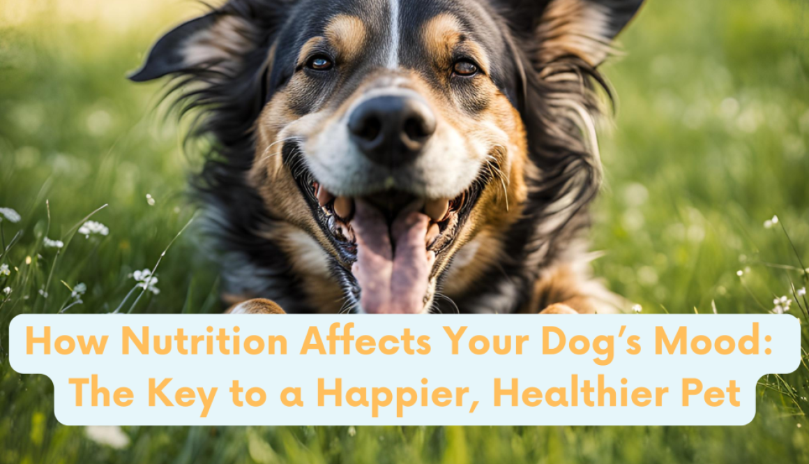 happy dog rolling in the grass