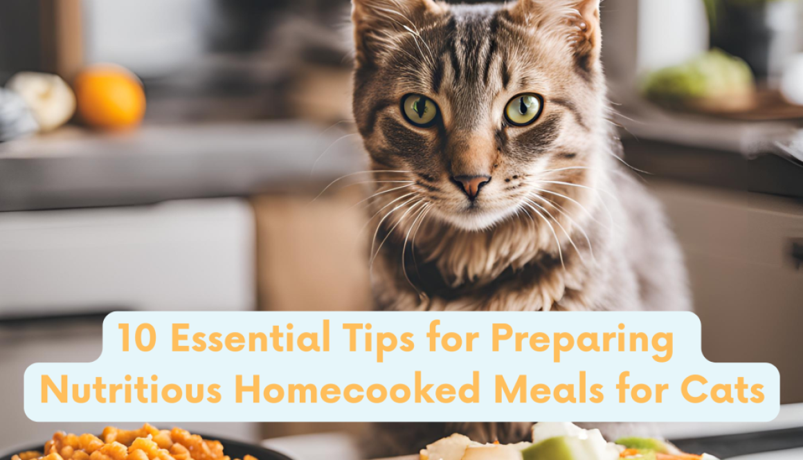 Essential Tips for Preparing Nutritious Homecooked Meals for Cats