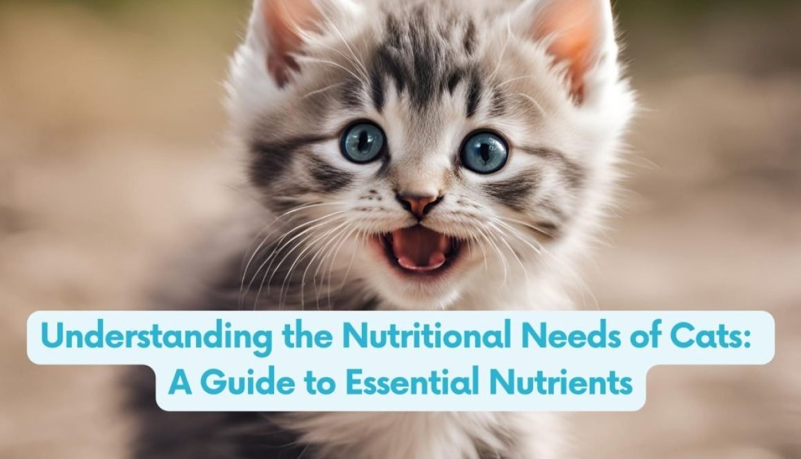 Cat enjoying a healthy meal, showcasing the importance of balanced nutrition with essential nutrients for optimal health and well-being.