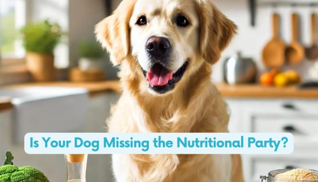 A happy golden retriever sits at a clean, modern kitchen table, eagerly looking at a bowl of freshly cooked dog food made with shredded chicken, steamed vegetables, and rice. The table displays vibrant fresh vegetables, a labeled jar of bone powder, and a bottle of fish oil, emphasizing balanced and homecooked pet nutrition. The background features a bright, inviting kitchen with sunlight streaming through the windows, creating a warm and cheerful atmosphere.